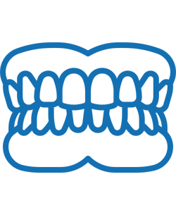 Blue line illustration of upper and lower teeth in proper dental alignment and bite.